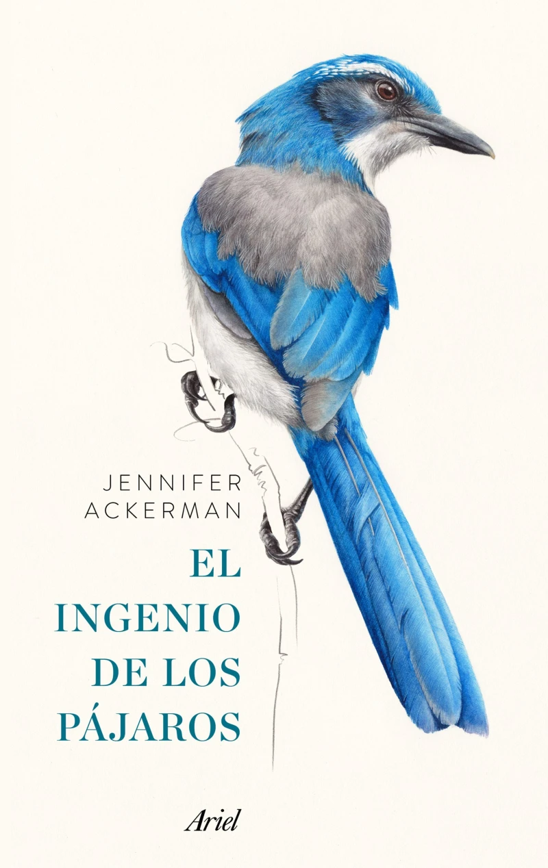 Portada: El ingenio de los pájaros