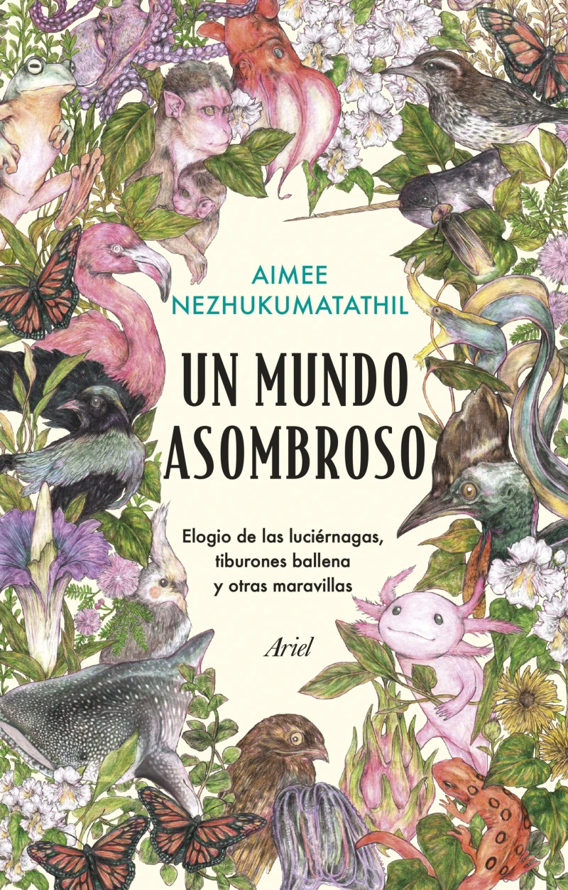 Portada: Un mundo asombroso