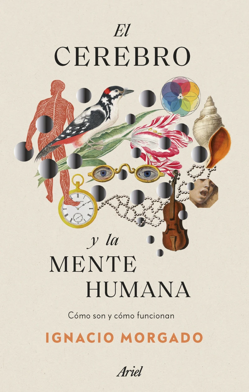 Portada: El cerebro y la mente humana