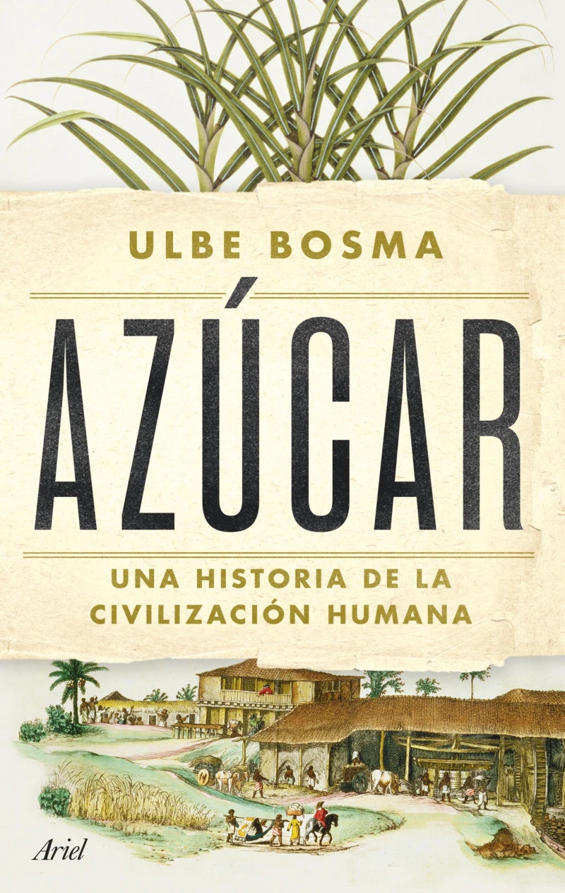 Portada: Azúcar