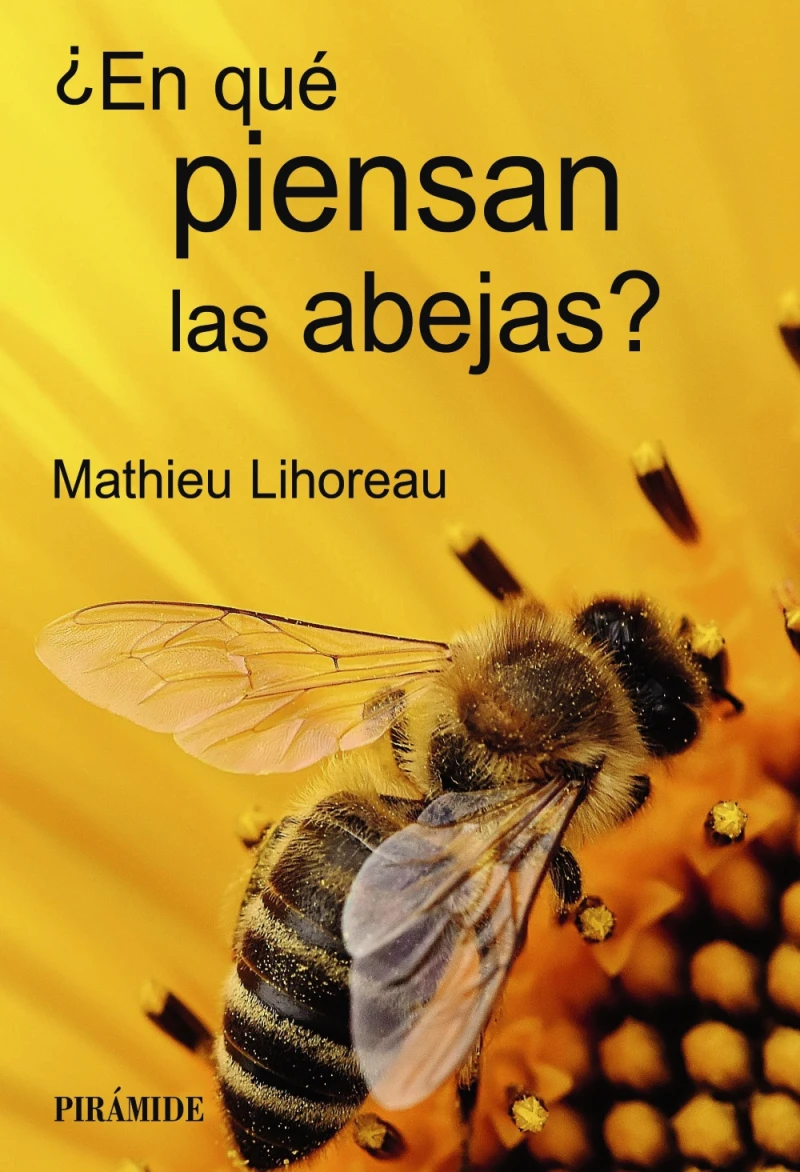 Portada: ¿En qué piensan las abejas?
