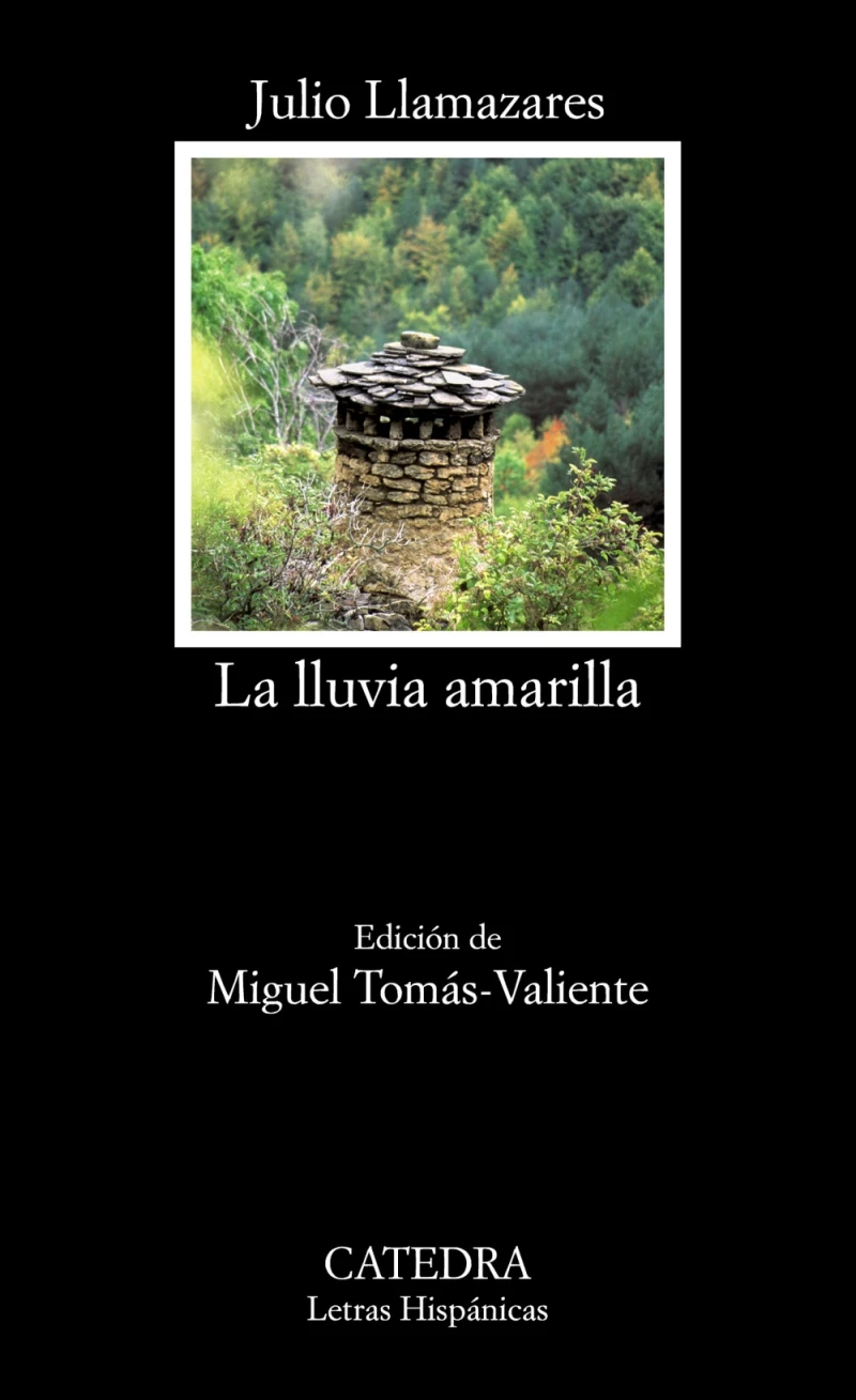 Portada: La lluvia amarilla