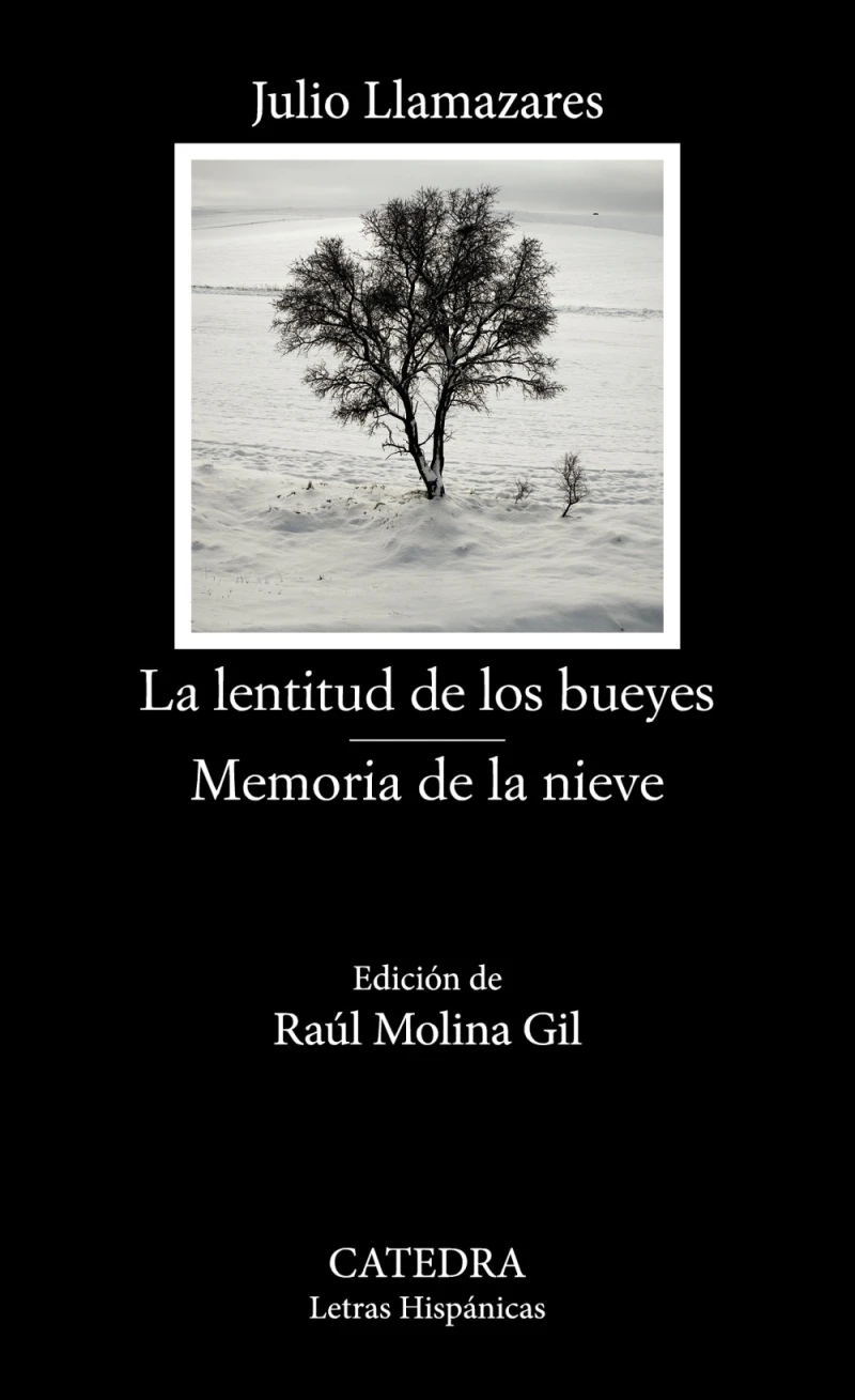 Portada: La lentitud de los bueyes; Memoria de la nieve