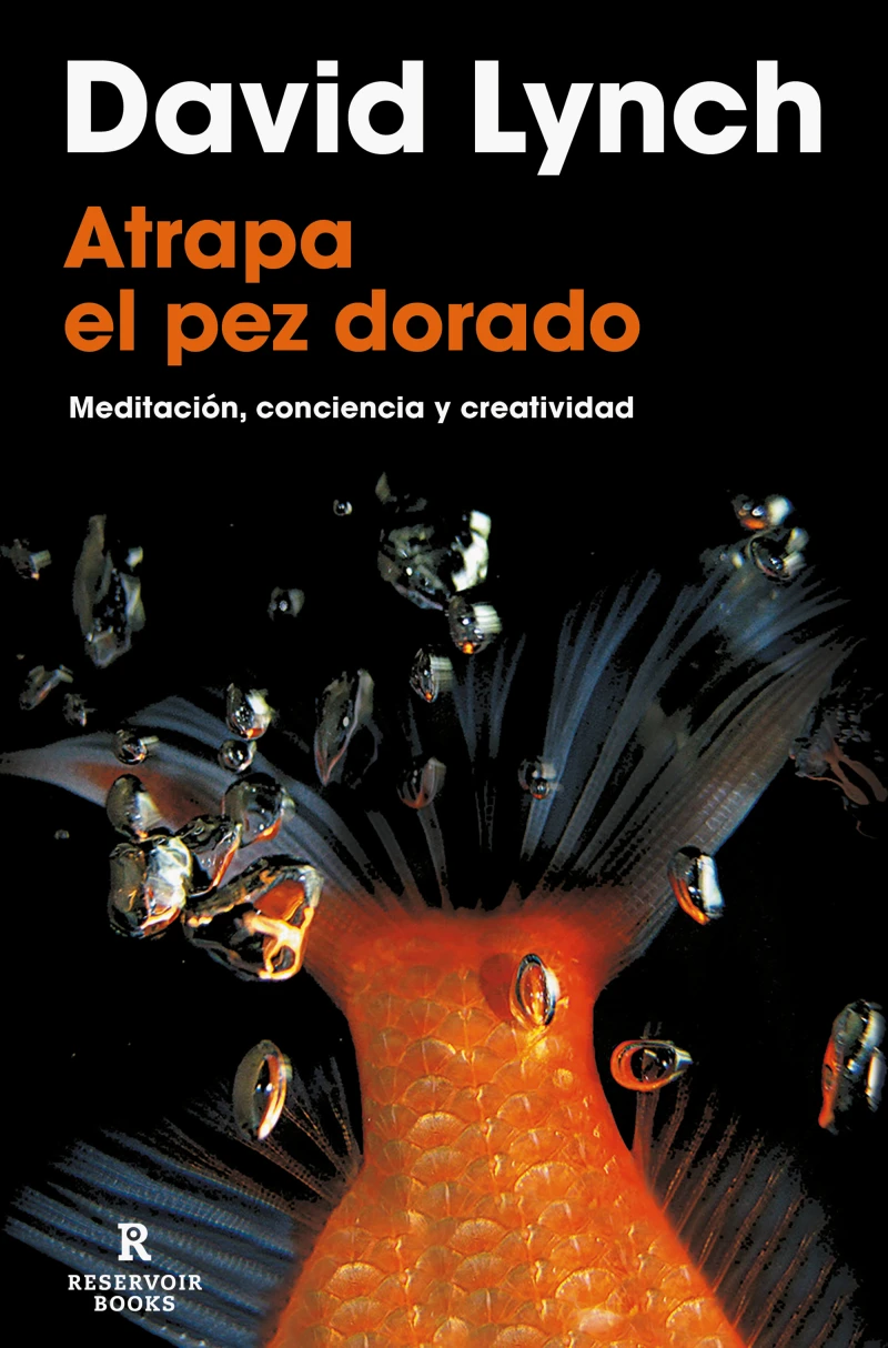 Portada: Atrapa el pez dorado