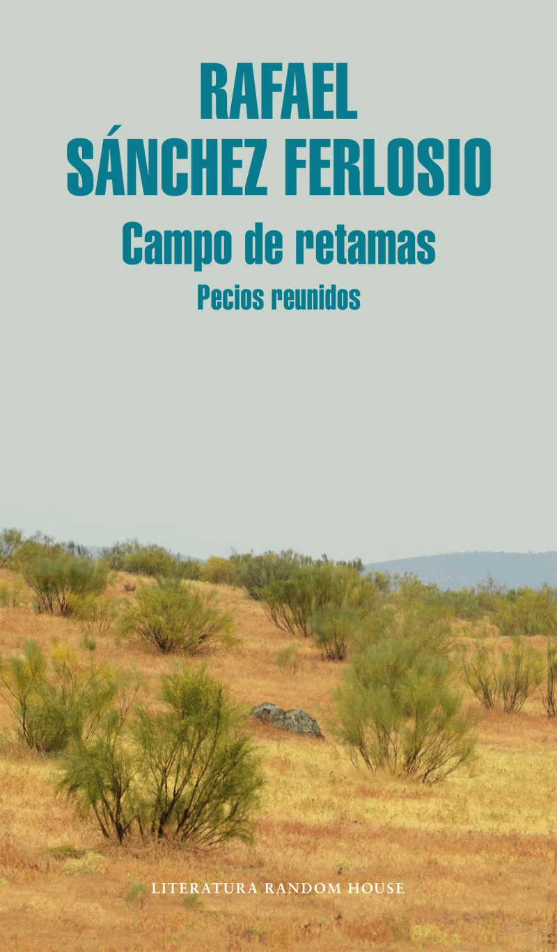 Portada: Campo de retamas