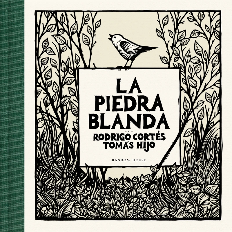 Portada: La piedra blanda