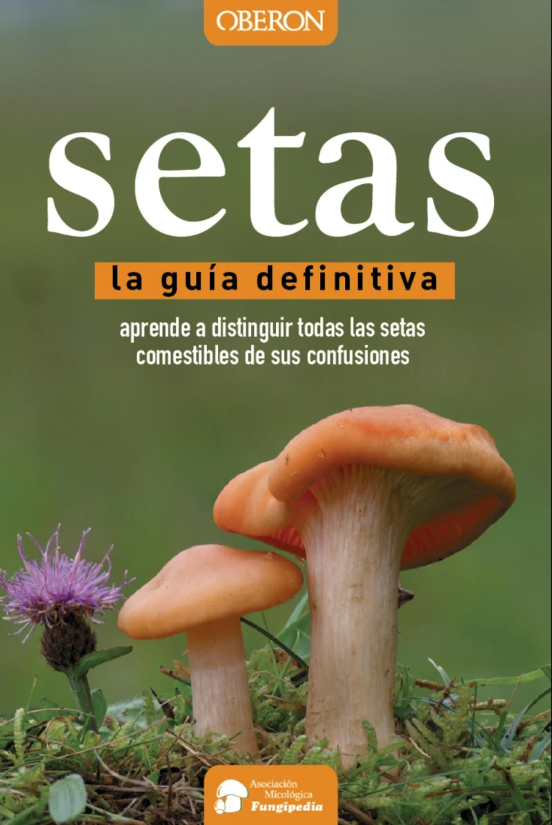Portada: Setas