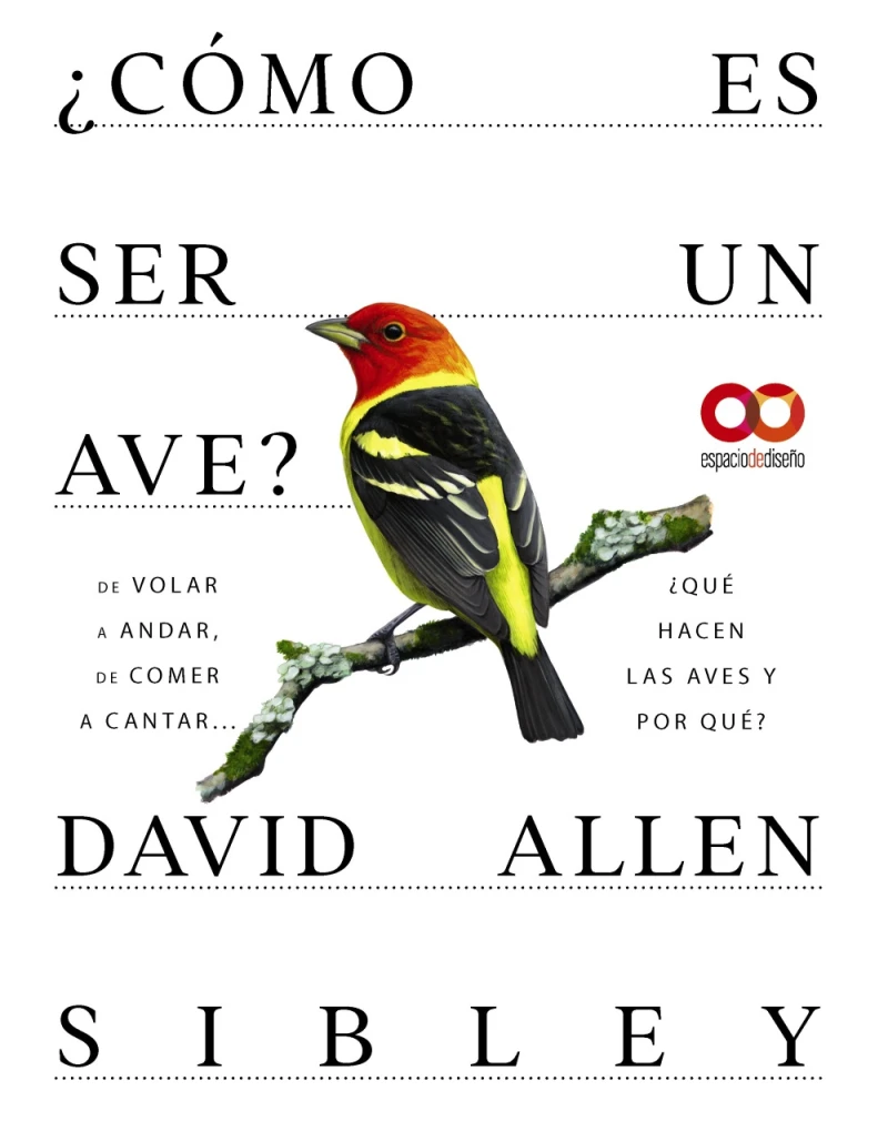 Portada: ¿Cómo es ser un ave? De volar a anidar, de comer a cantar... ¿Qué hacen las aves y por qué?