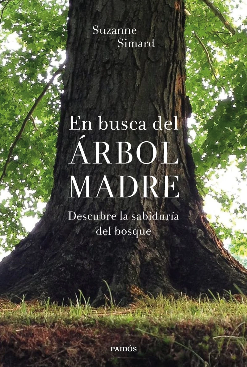 Portada: En busca del Árbol Madre