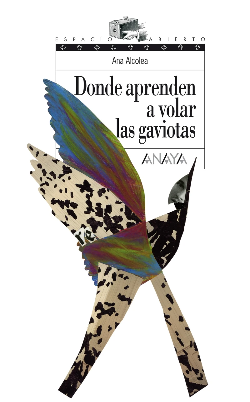 Portada: Donde aprenden a volar las gaviotas