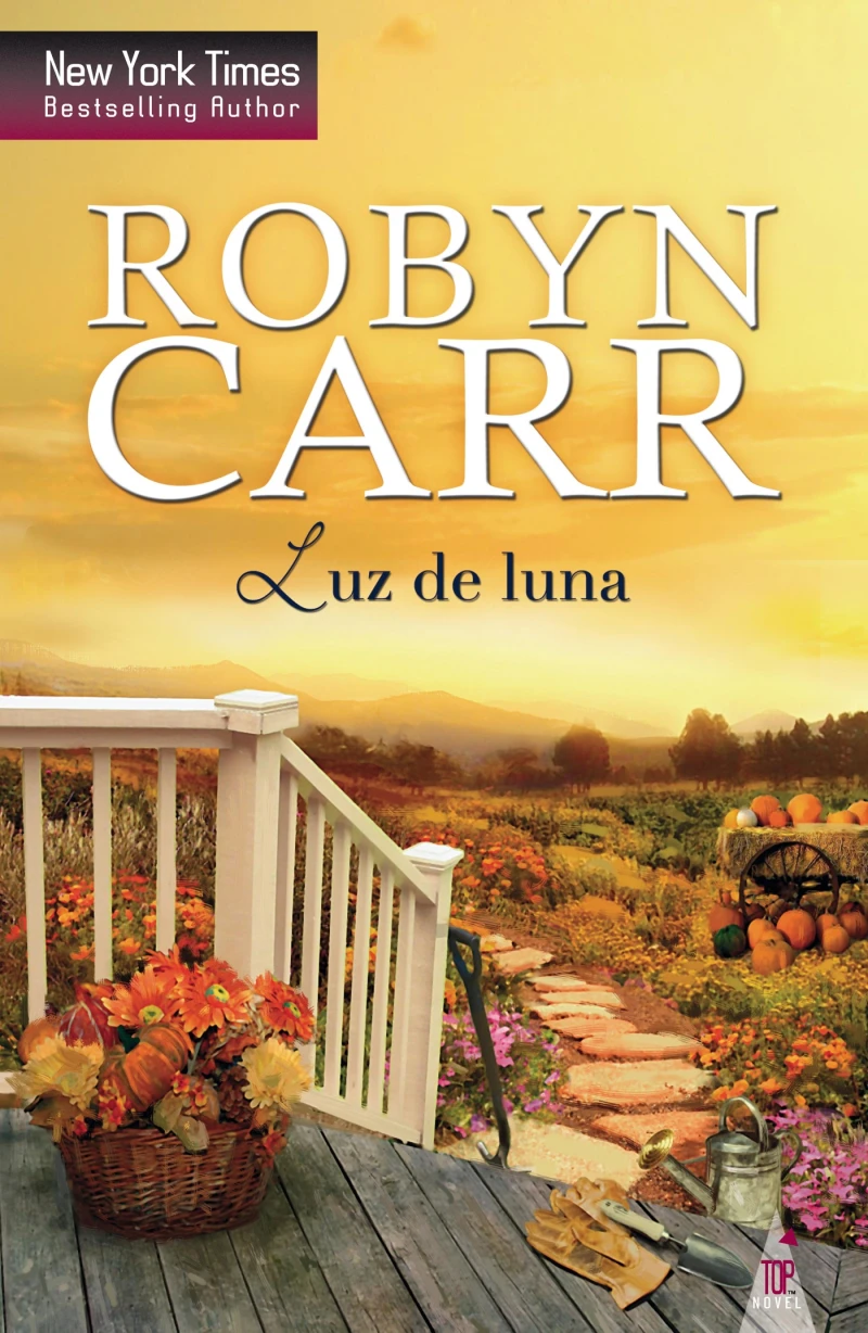 Portada: Luz de luna