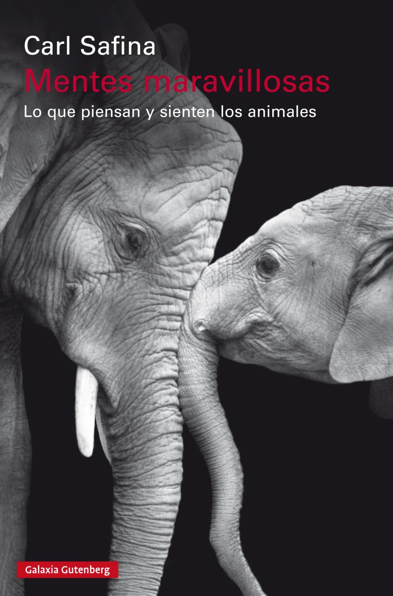 Portada: Mentes maravillosas