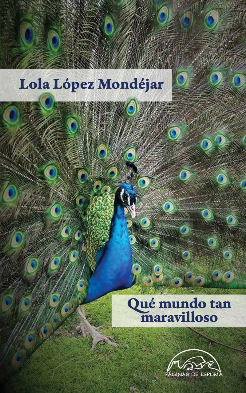 Portada: Qué mundo tan maravilloso