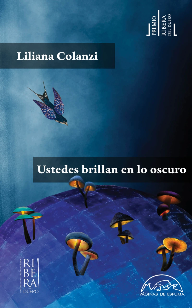Portada: Ustedes brillan en lo oscuro
