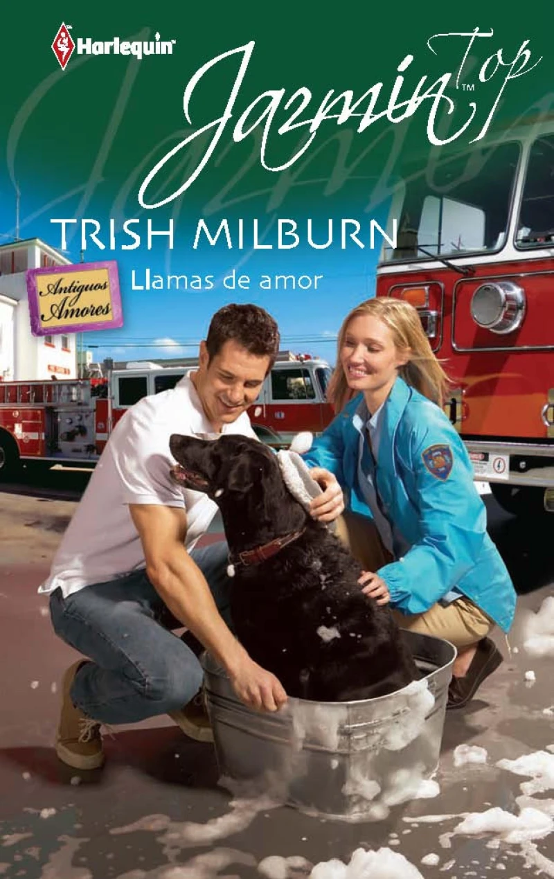 Portada: LLAMAS DE AMOR