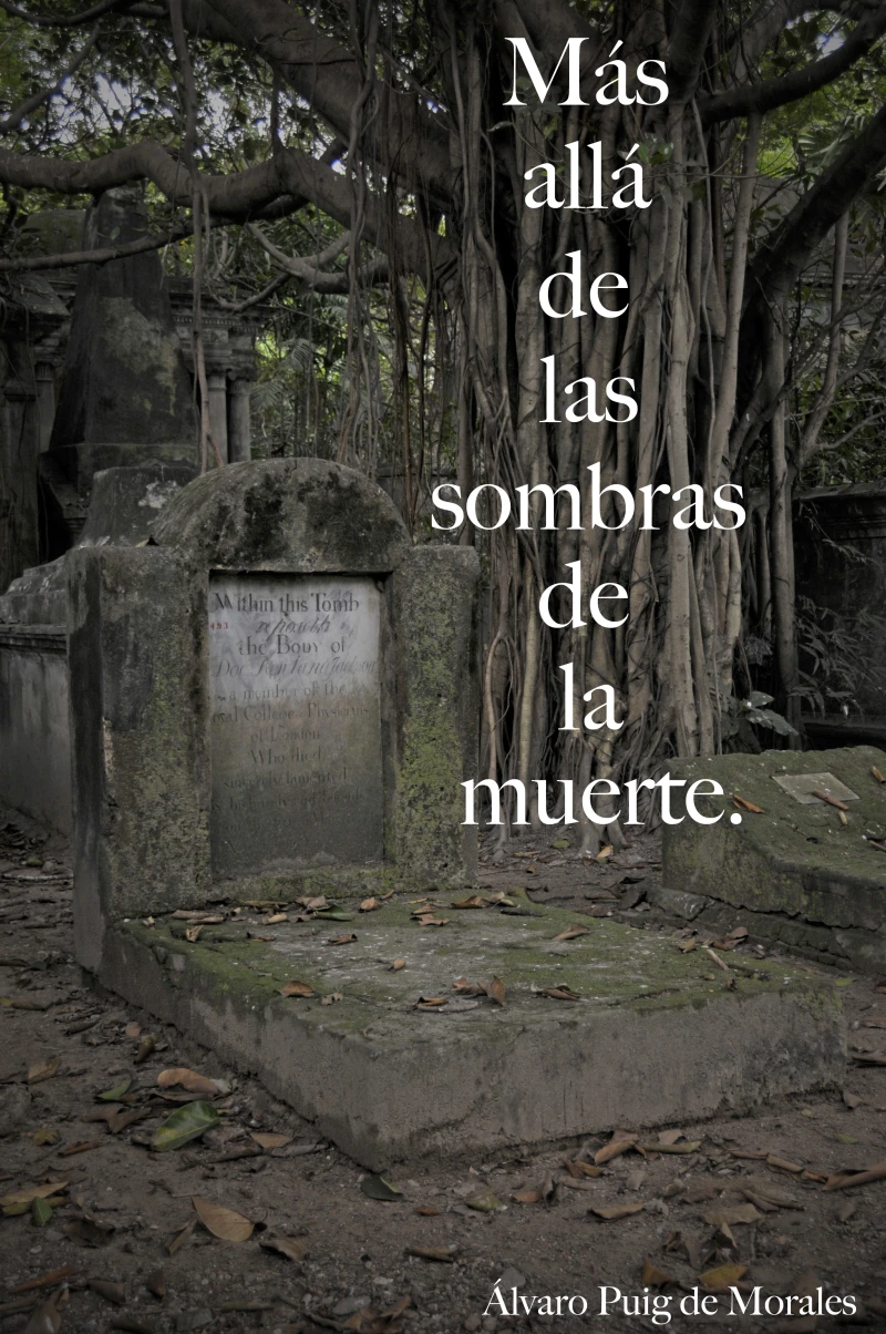 Portada: Más allá de las sombras de la muerte