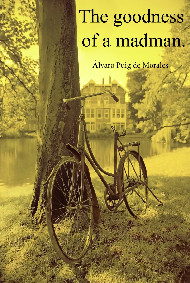 Portada: The goodness of a madman