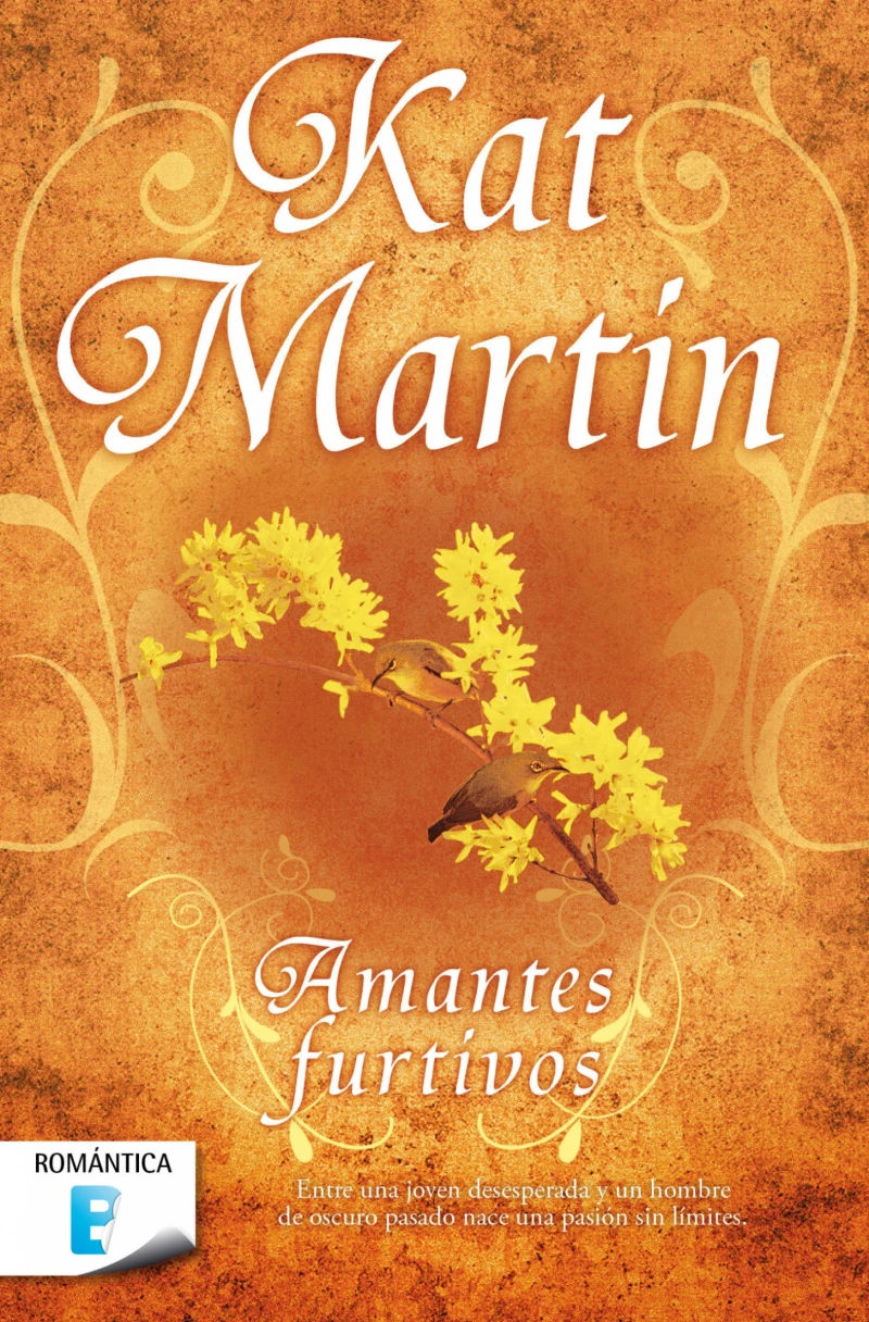 Portada: Amantes furtivos