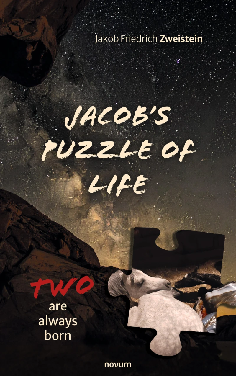 Portada: Jacob's Puzzle of Life
