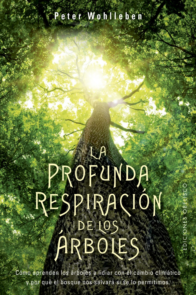 Portada: La profunda respiración de los árboles