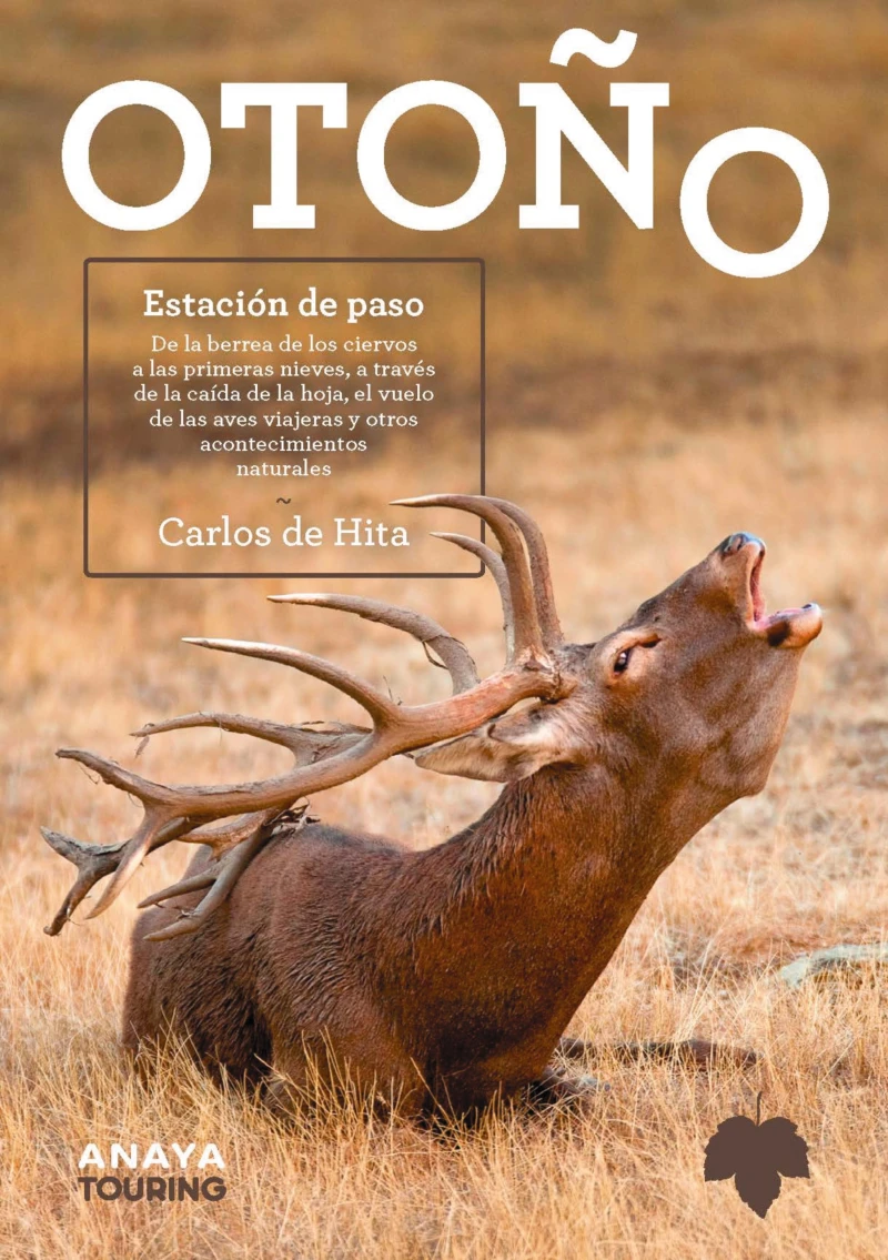Portada: Otoño