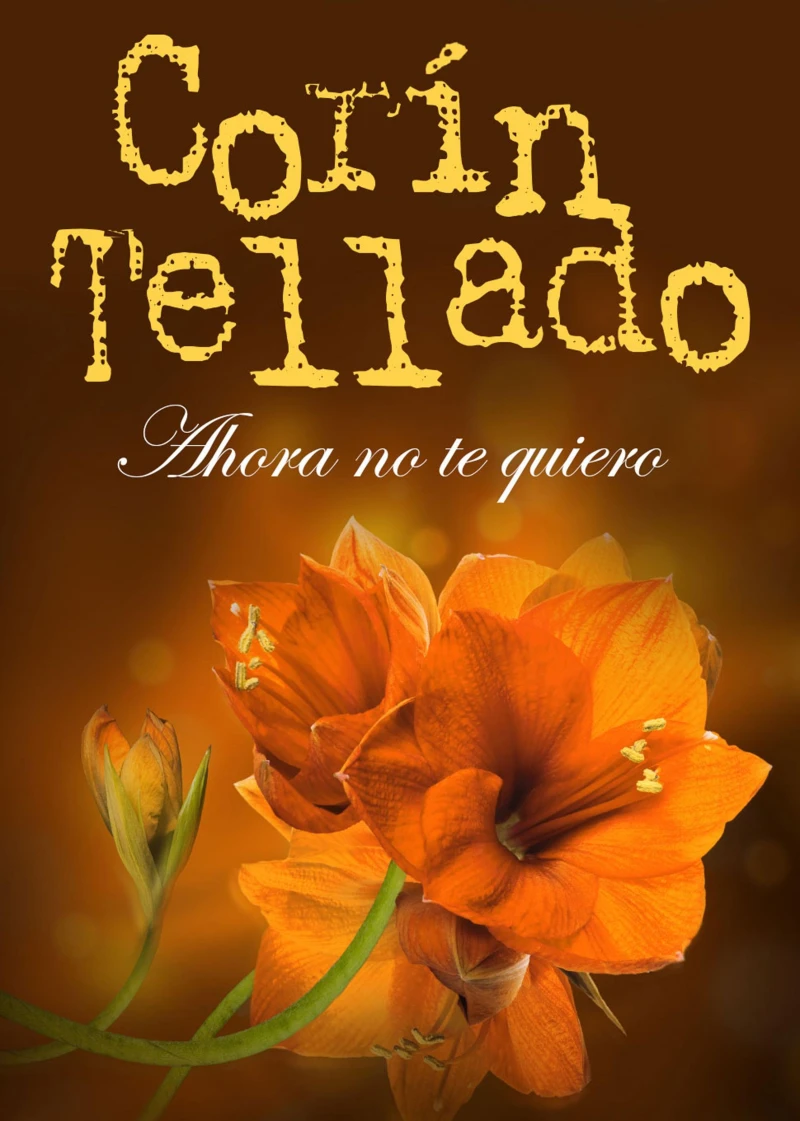 Portada: Ahora no te quiero