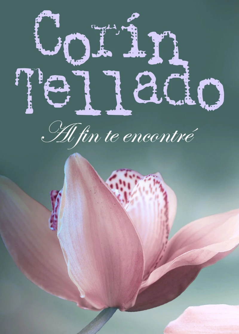 Portada: Al fin te encontré