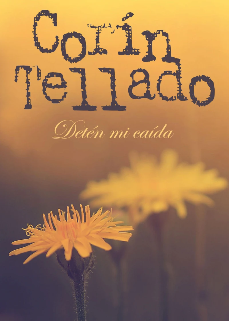 Portada: Detén mi caída