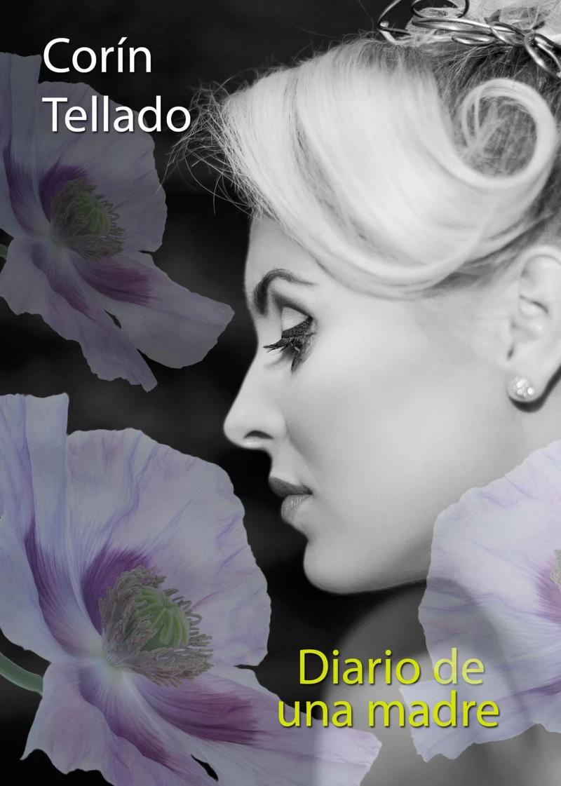Portada: Diario de una madre