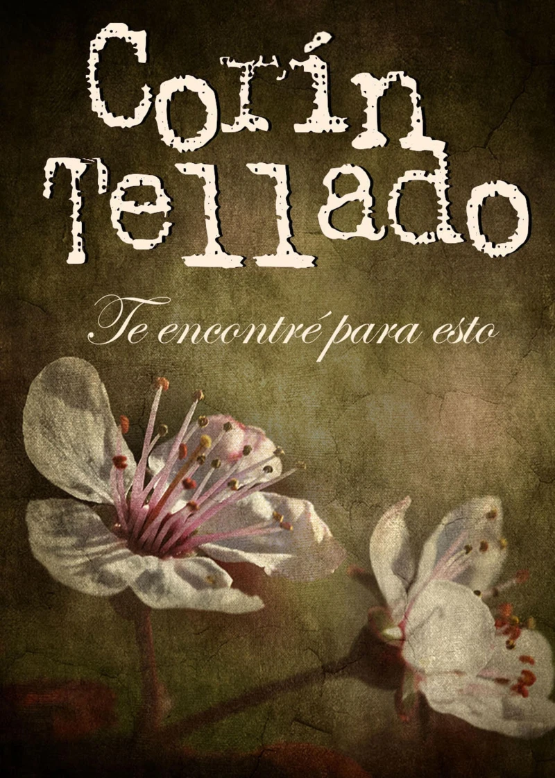 Portada: Te encontré para esto