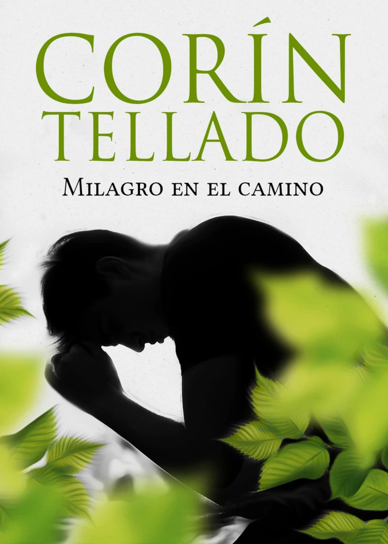 Portada: Milagro en el camino