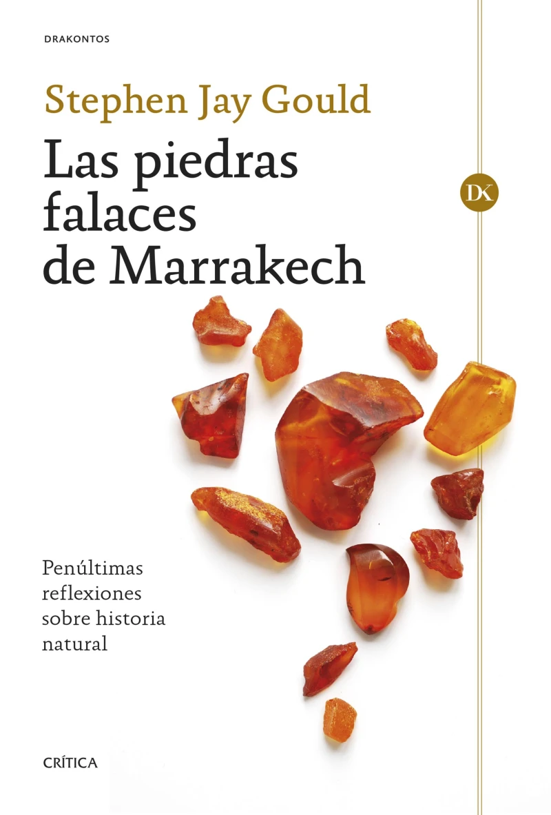 Portada: Las piedras falaces de Marrakech