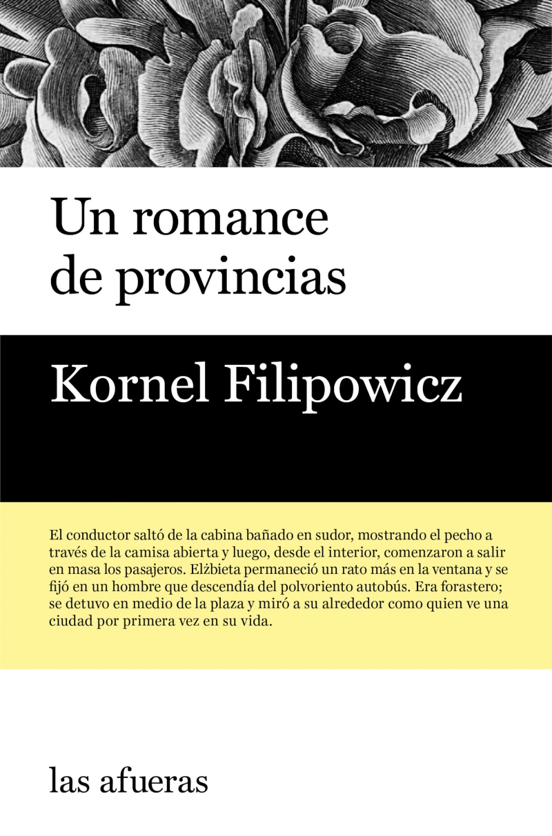 Portada: Un romance de provincias