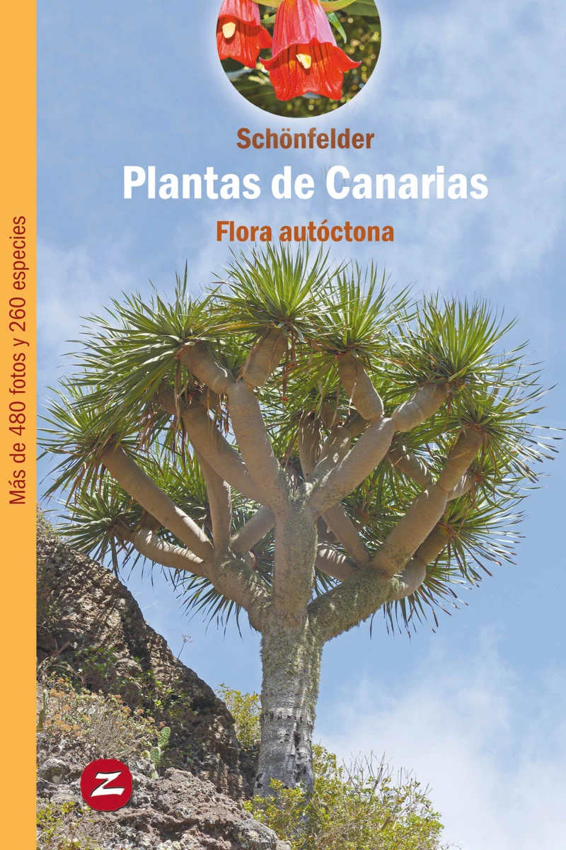 Portada: Plantas de Canarias