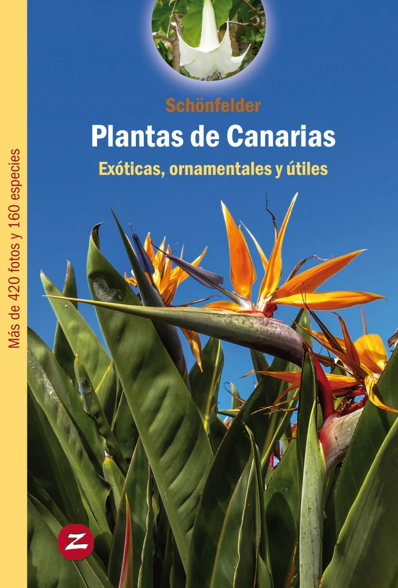 Portada: Plantas de Canarias