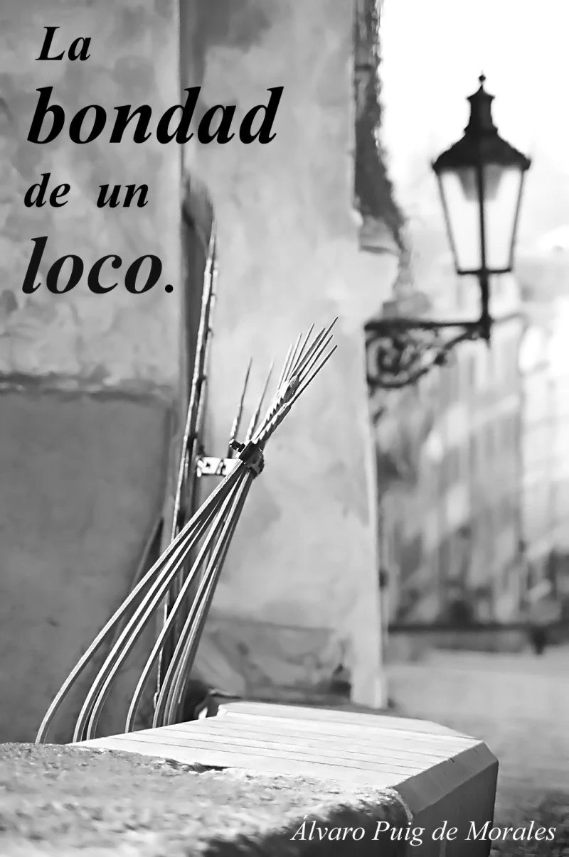 Portada: La bondad de un loco