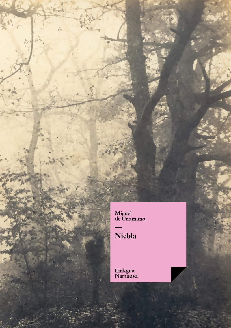 Portada: Niebla