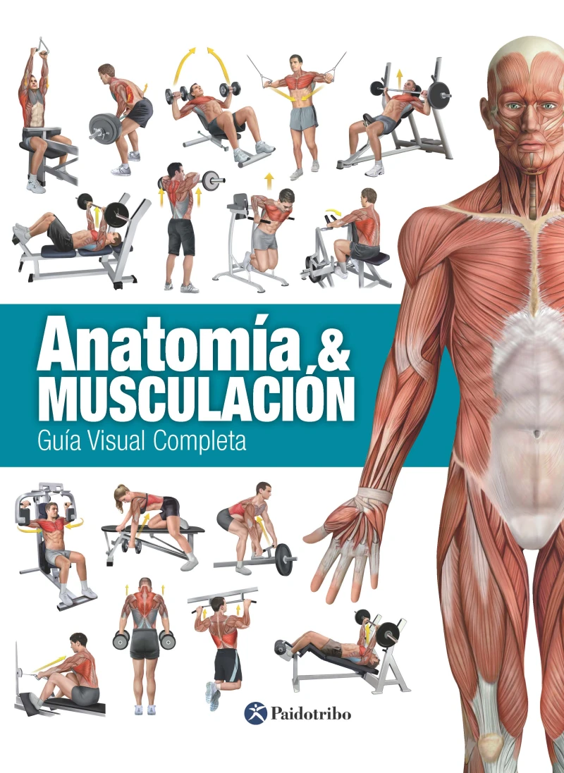 Portada: Anatomía & Musculación