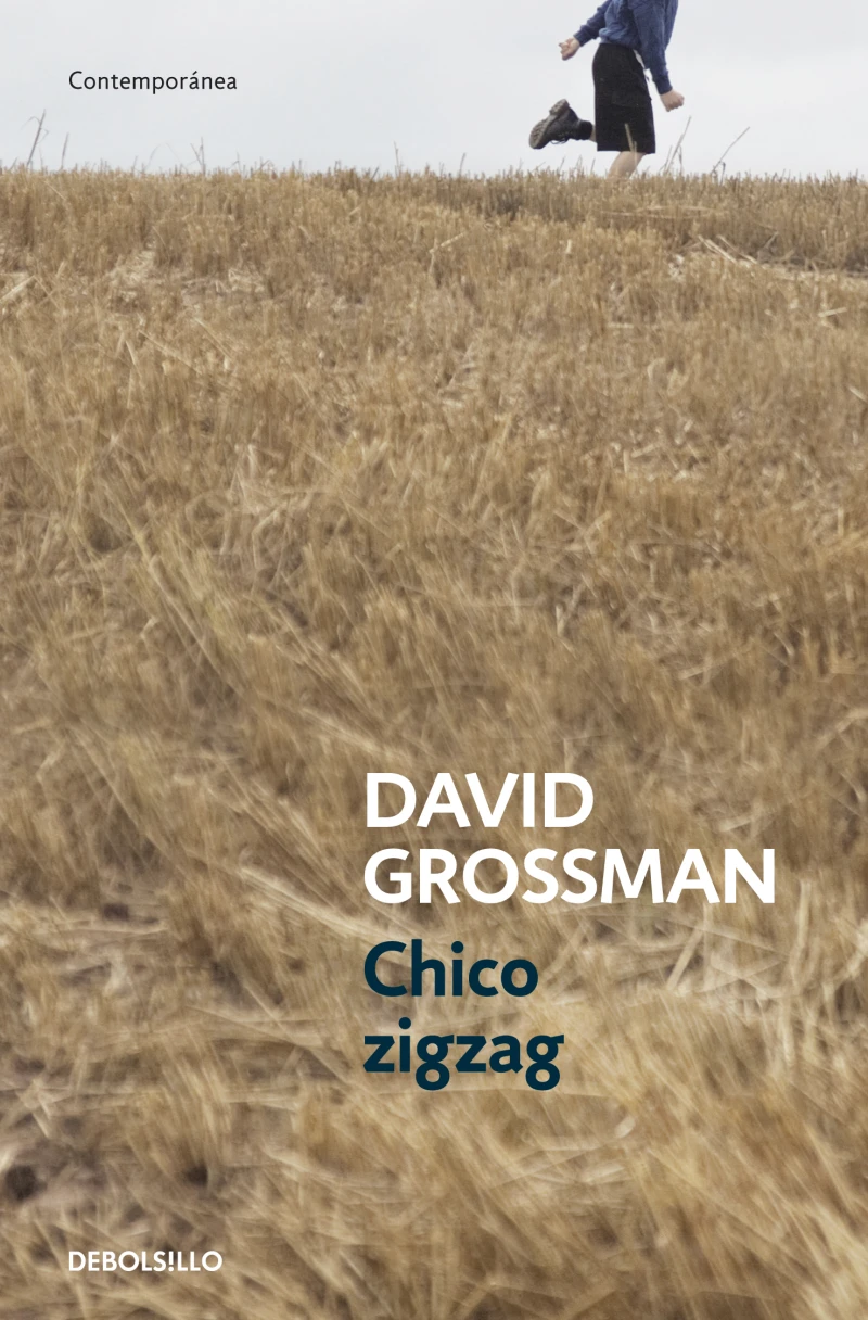 Portada: Chico zigzag