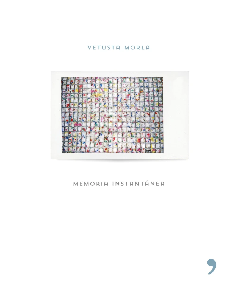 Portada: Memoria instantánea