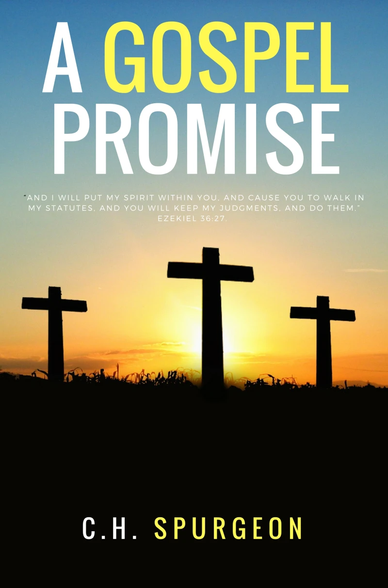 Portada: A Gospel Promisse