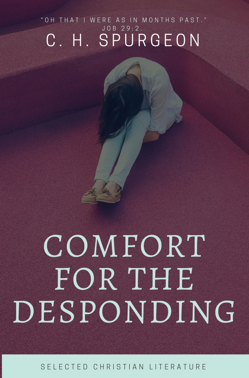 Portada: Comfort for the Despoding