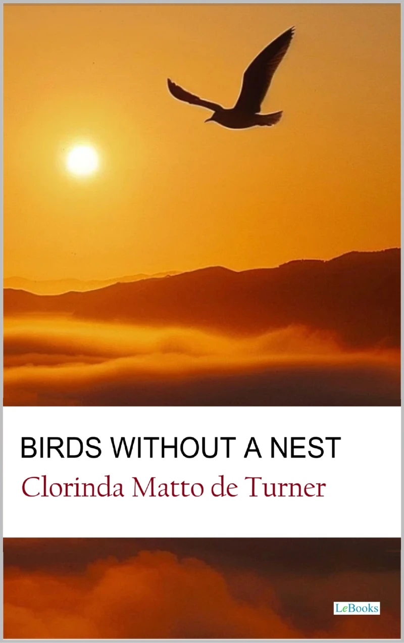 Portada: Birds without a Nest