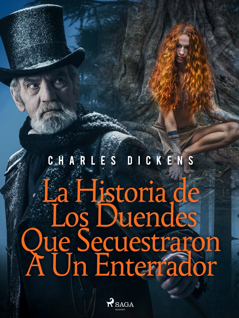 Portada: La Historia de Los Duendes Que Secuestraron A Un Enterrador