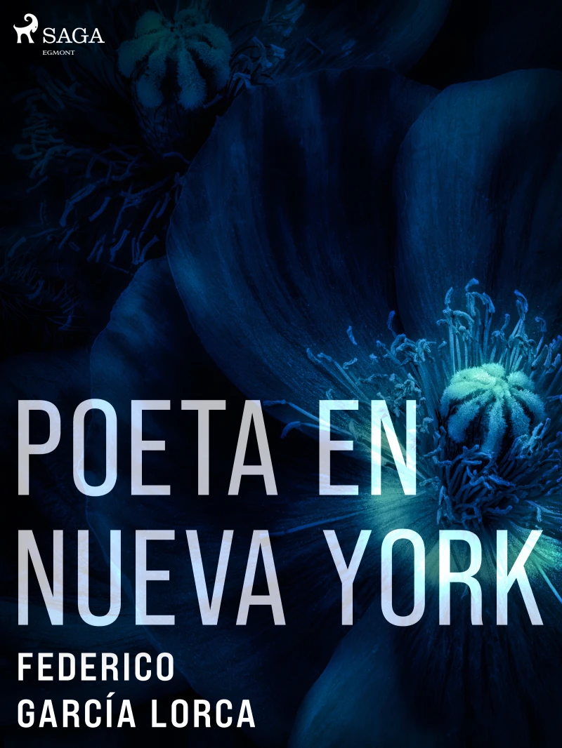 Portada: Poeta en Nueva York
