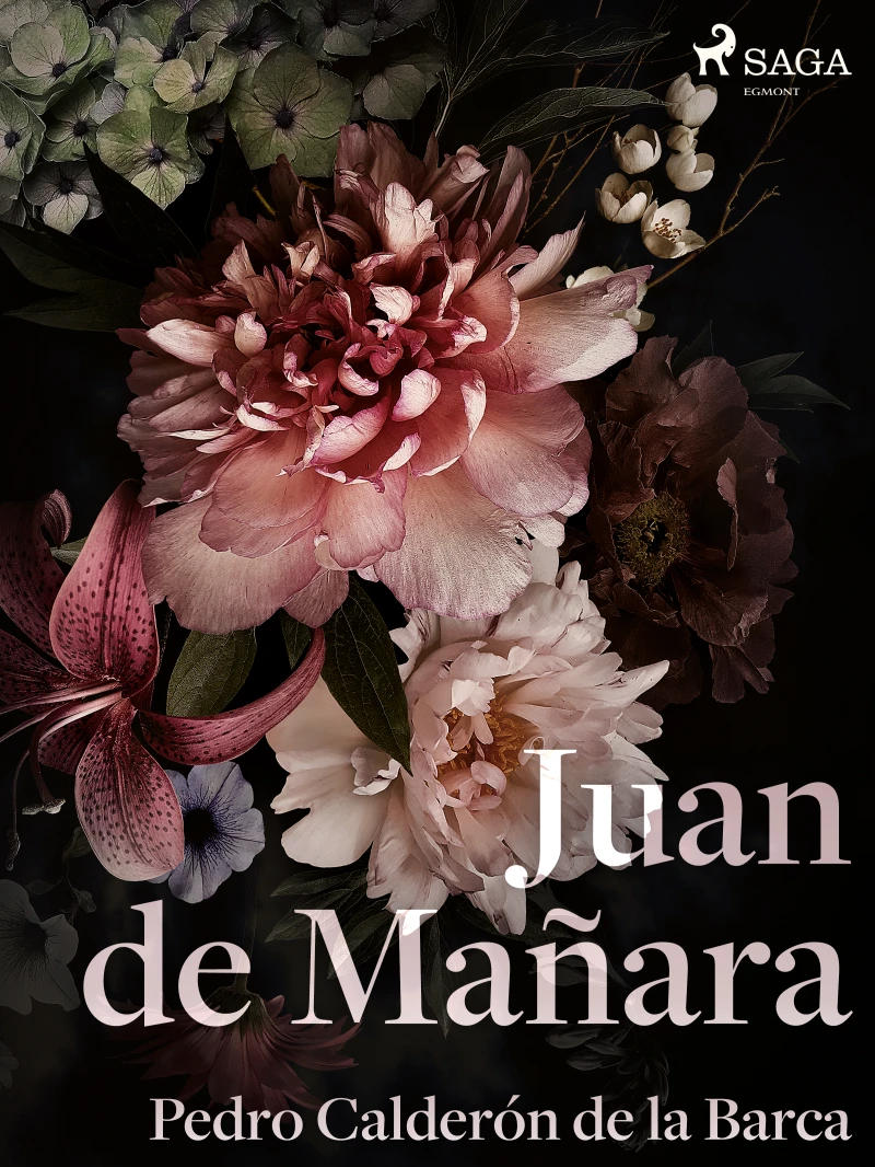 Portada: Juan de Mañara