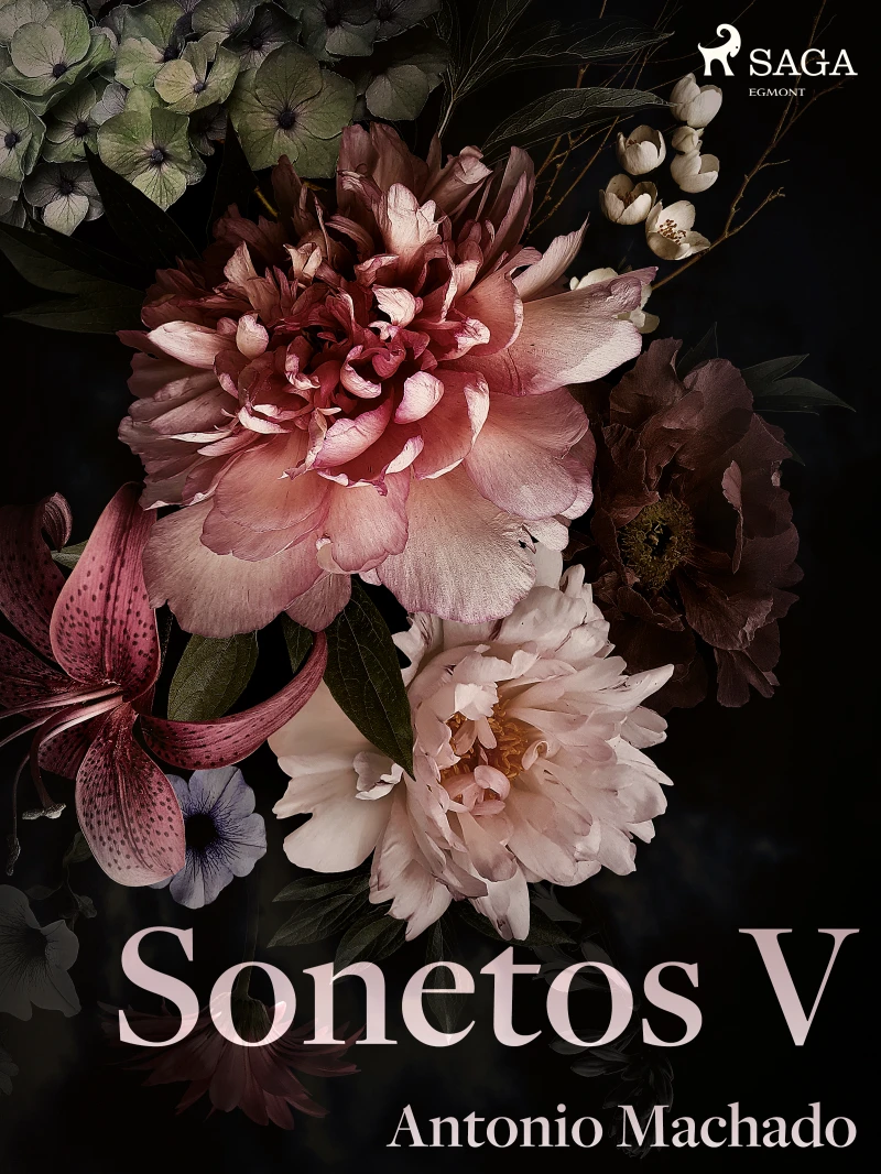 Portada: Sonetos V