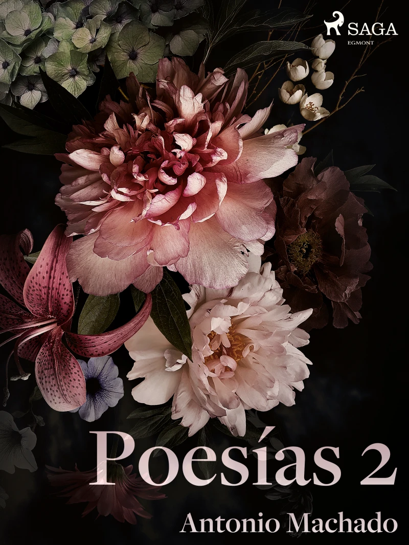 Portada: Poesías 2