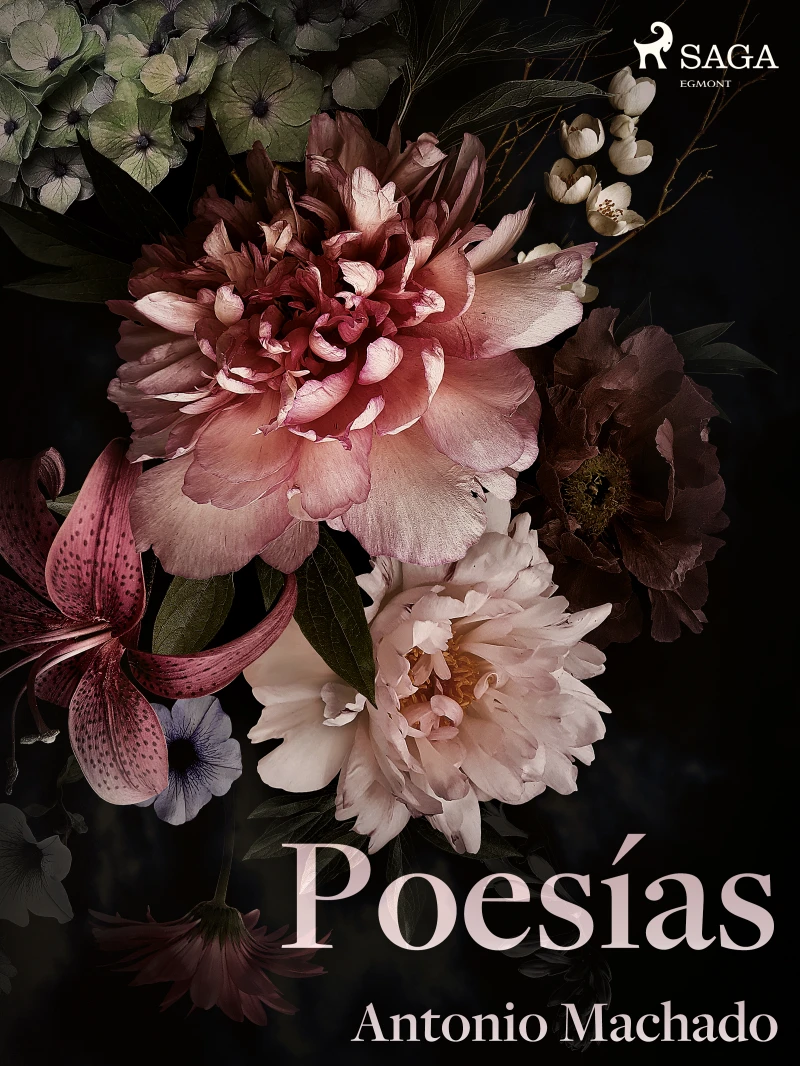Portada: Poesías