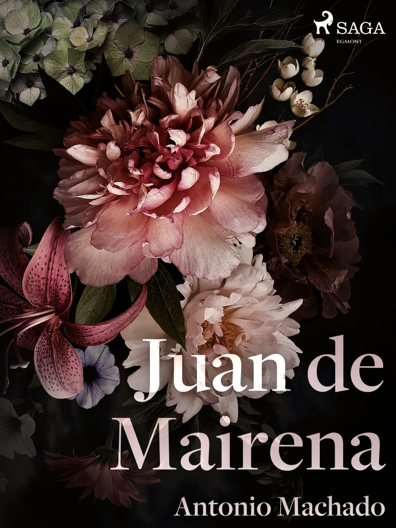 Portada: Juan de Mairena